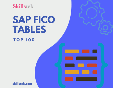 Therapy courtesy check Tables in SAP FICO - List of Top 100 [Most Important] - Skillstek